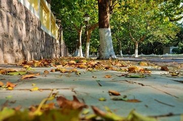 降雨！降溫！駐馬店本周最低-2℃！然而透心涼的不止是天氣，還有這些…