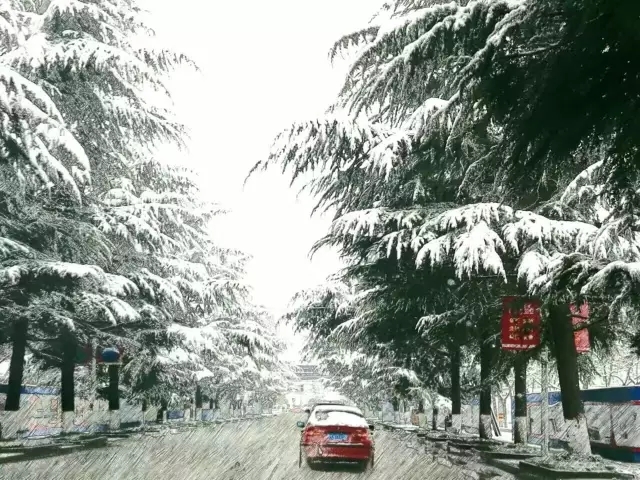 駐馬店2017第一場雪，竟然如此驚艷！附河南28條交通管制高速路段