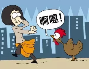 河南新增4例H7N9流感病例，這些事千萬不要再做了！