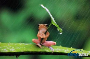 駐馬店人注意！大風(fēng)大雨正在快馬加鞭趕來！下周更讓你意想不到...