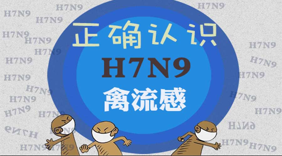 駐馬店確診1例H7N9流感病例，這些事千萬不要再做了！