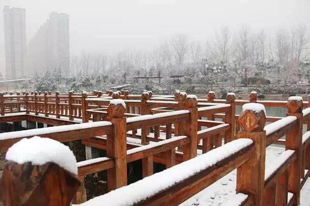 下雪啦！駐馬店今冬第一場雪終于來了！開心的是再上8天班就放假啦！