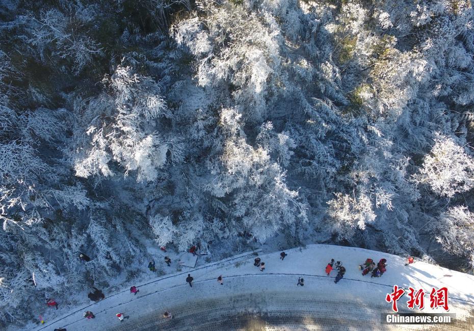 12月20日，重慶金佛山銀裝素裹雪景美如畫(huà)，吸引了不少游客前來(lái)觀賞。當(dāng)日，第19屆金佛山冰雪節(jié)正式開(kāi)幕。 陳超 攝