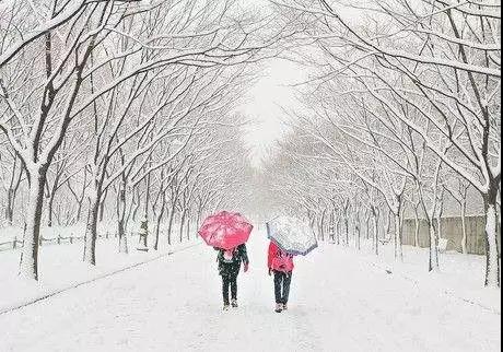 暴雪！明天起，駐馬店將連迎5天雪！開心的是，這兩類人將再漲錢！