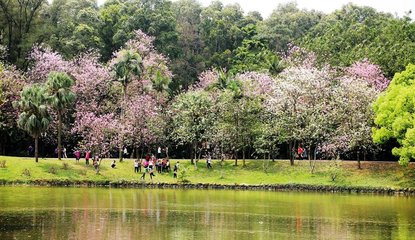 最高溫18℃！駐馬店今日溫暖如春，還有這些消息...