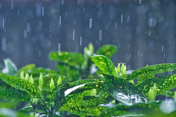 大雨來襲、被國(guó)家看上...3月，駐馬店還有13件大事與你有關(guān)