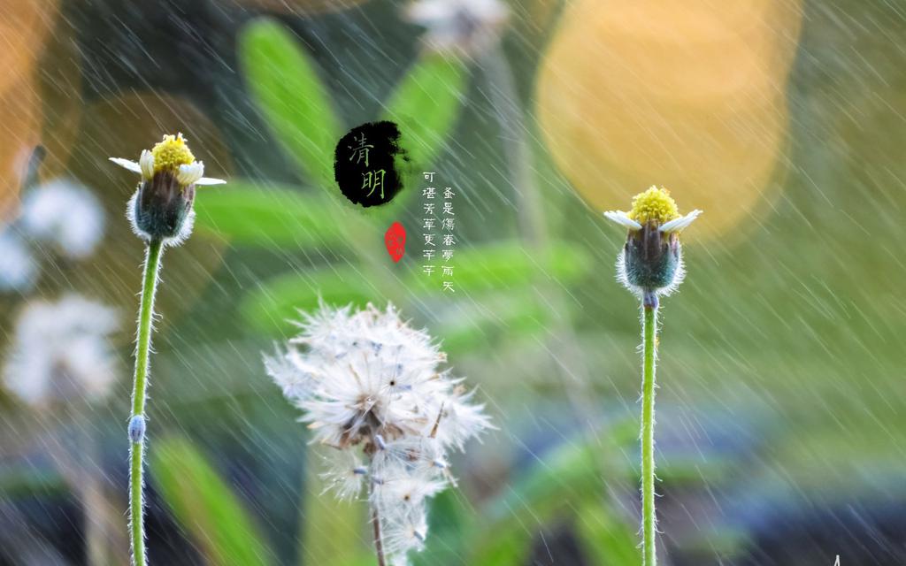 暴降18℃！駐馬店將開啟降溫+雨+大風(fēng)模式，還有…