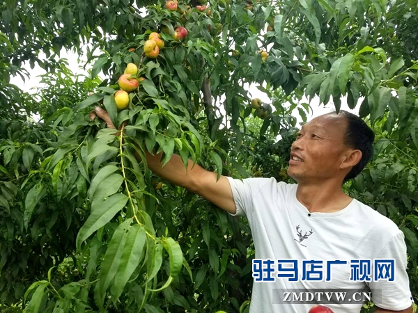 驛城區(qū)以技能培訓(xùn)拉動創(chuàng)業(yè)