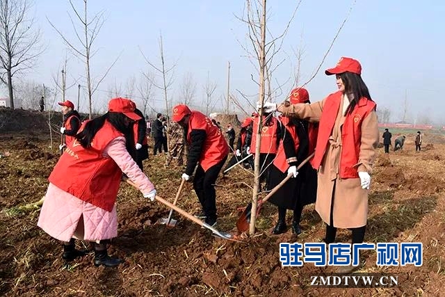 上蔡縣開展春季義務植樹活動