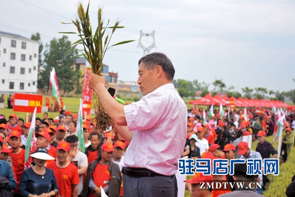 正陽(yáng)千余農(nóng)民麥田選秀