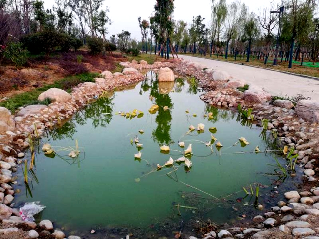 練江河主題公園景色美如畫