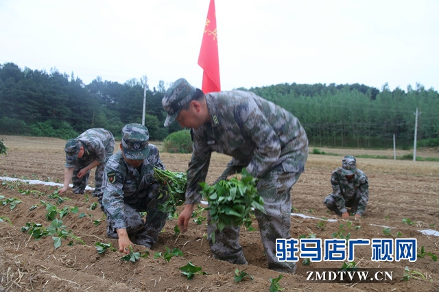 驛城區(qū)人武部：結(jié)對(duì)幫扶受歡迎