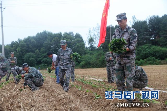 驛城區(qū)人武部：結(jié)對(duì)幫扶受歡迎