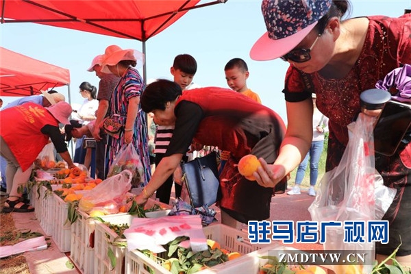 武漢旅游專列800余人赴平輿縣藍(lán)天芝麻小鎮(zhèn)觀光旅游開(kāi)啟藍(lán)天芝麻小鎮(zhèn)“旅游元年”