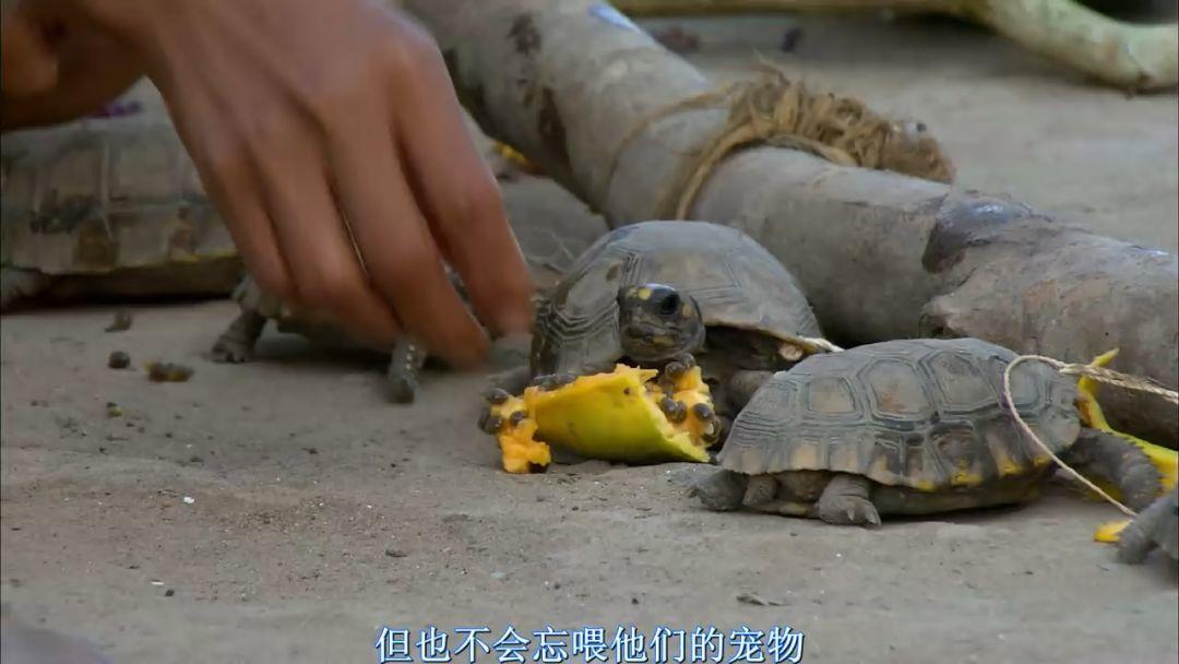 刷屏朋友圈的假「圣母」，今天必須拆穿 