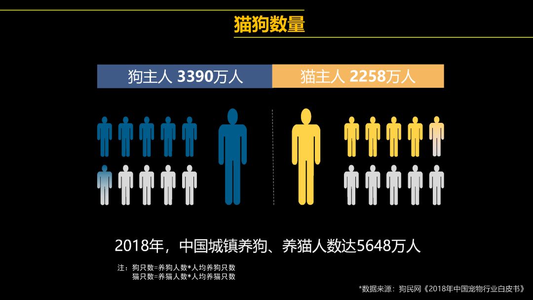 中國首只克隆貓回家了，你會花 38 萬跟去世的寵物再續(xù)前緣嗎？