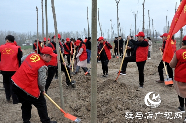 正陽縣開展秋冬添新綠義務植樹活動