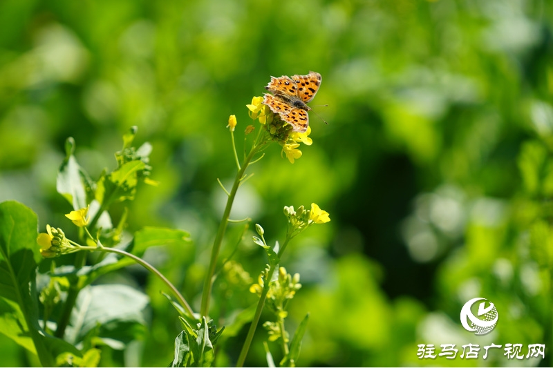 我們堅守，為了早日重逢