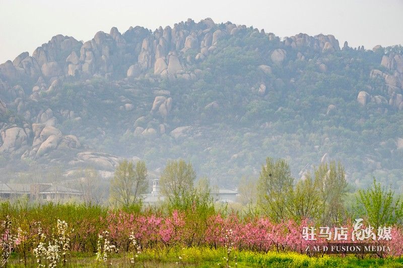 終于等到你，美麗大駐馬