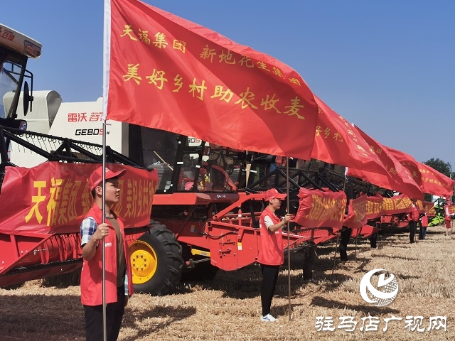 天福、新地花生集團(tuán)助農(nóng)收麥忙 三夏時(shí)節(jié)確保顆粒歸倉