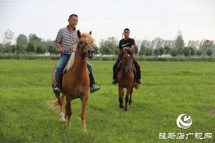 平輿縣李屯鎮(zhèn)小毛驢農(nóng)場讓你體驗(yàn)水上狂歡清涼一夏