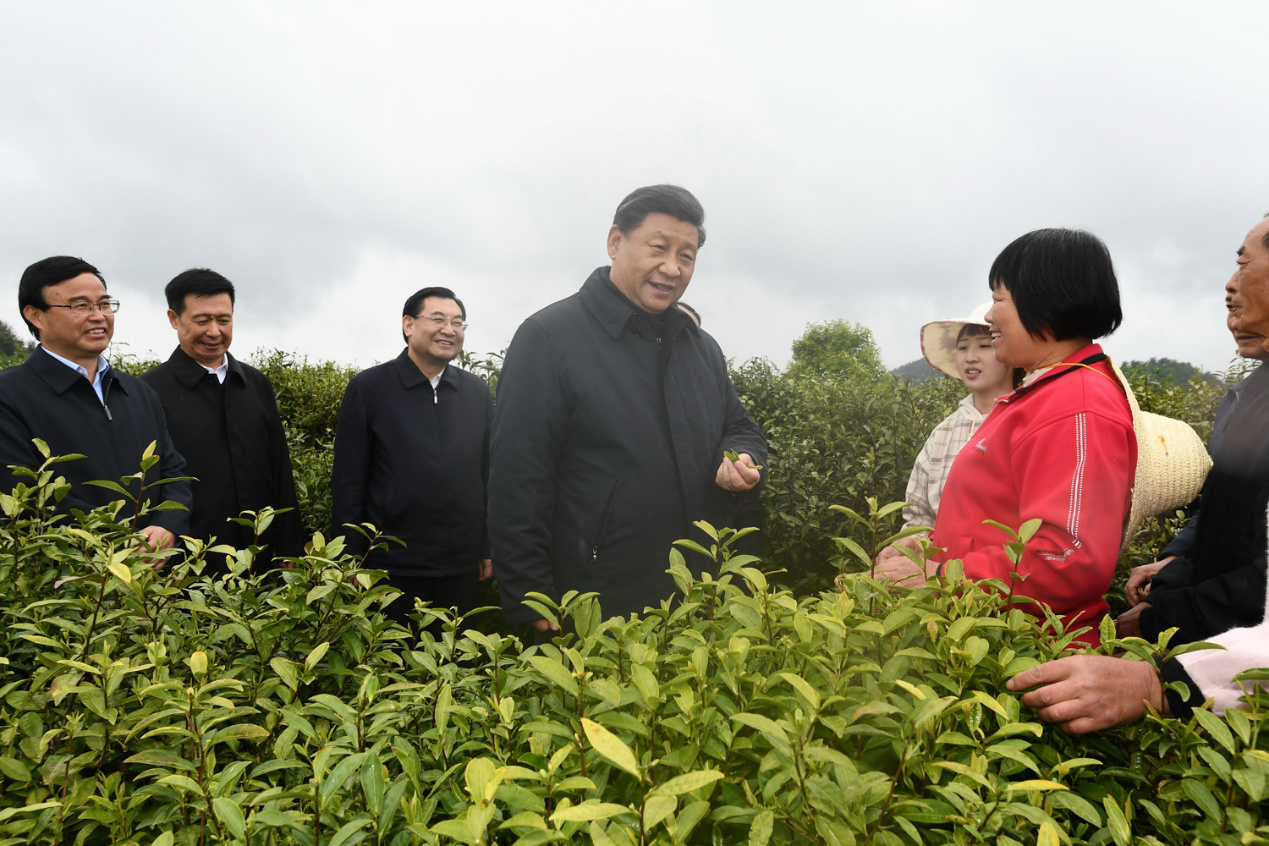 習近平：人不負青山，青山定不負人