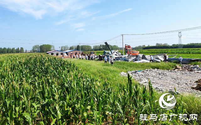 駐馬店市驛城區(qū)對(duì)農(nóng)村亂占耕地建房8類問題“零容忍”