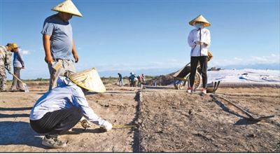 遺址格局逐步清晰，歷史文化內(nèi)涵日益豐富  北庭故城考古發(fā)現(xiàn)不斷深入