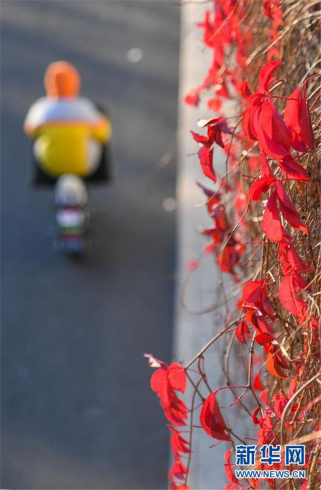 北京迎來晴好天氣