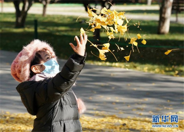 北京迎來晴好天氣