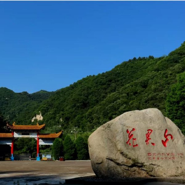 “市”外有桃園，宜陽花果山，遛娃首選點(diǎn)