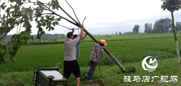 正陽縣彭橋鄉(xiāng)黨員干部冒雨守護(hù)群眾安全