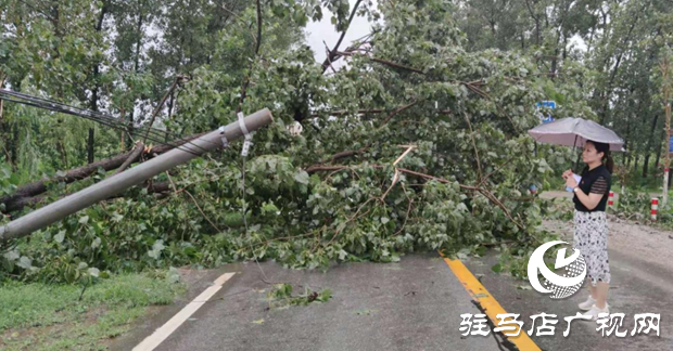 正陽縣彭橋鄉(xiāng)黨員干部冒雨守護(hù)群眾安全