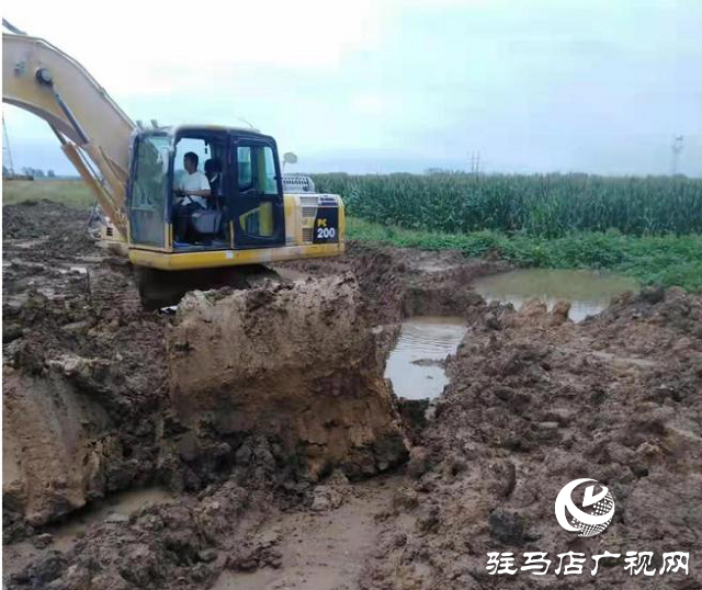 雨水倒灌莊稼地 緊急排澇解民憂