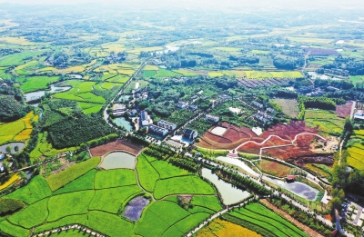 你好，小康丨光山縣東岳村：田園多彩 電商下鄉(xiāng)