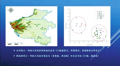 夏朝人種什么、吃什么、得什么?。?夏文化論壇揭示4000年前的居民身體狀況