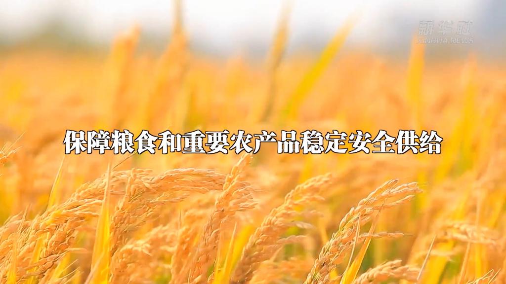 從中央農(nóng)村工作會(huì)議看2023年“三農(nóng)”工作這么干