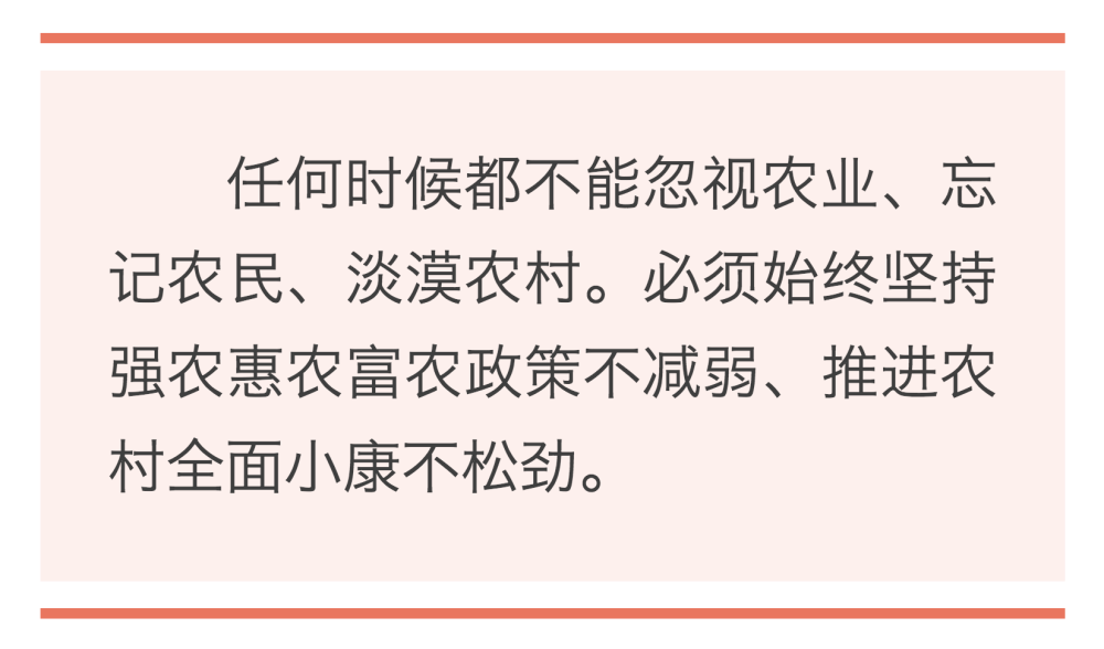 鏡觀·領(lǐng)航｜誓言錚錚為人民   ｜  暖心微視頻｜牽掛總在問(wèn)詢間