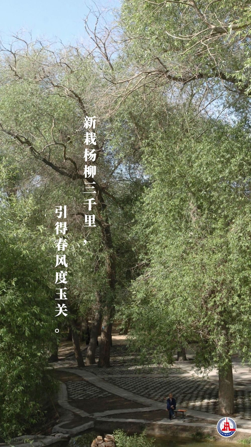 新華全媒+丨植樹傳統(tǒng)，從古詩中走來