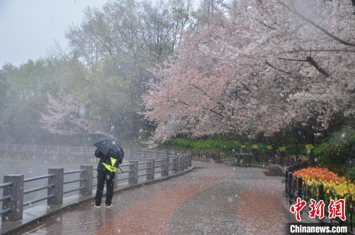 河南多地發(fā)布暴雪紅色預(yù)警 降雪成因公布