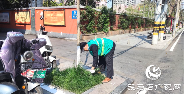 開發(fā)區(qū)城市管理局：提升園林景觀 助力創(chuàng)文沖刺