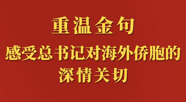 重溫金句，感受總書記對海外僑胞的深情關切