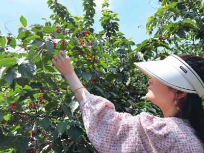 5·19中國旅游日將至，免票、半價(jià)......鄭州各大景區(qū)優(yōu)惠政策出爐