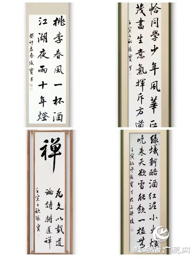 張寶：以文會(huì)友傳承優(yōu)秀文化 樂善奉獻(xiàn)書寫詩意人生