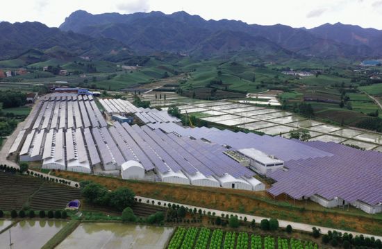 跟著總書記看中國丨浙江科技特派員：把論文寫在大地上 把成果留在百姓家