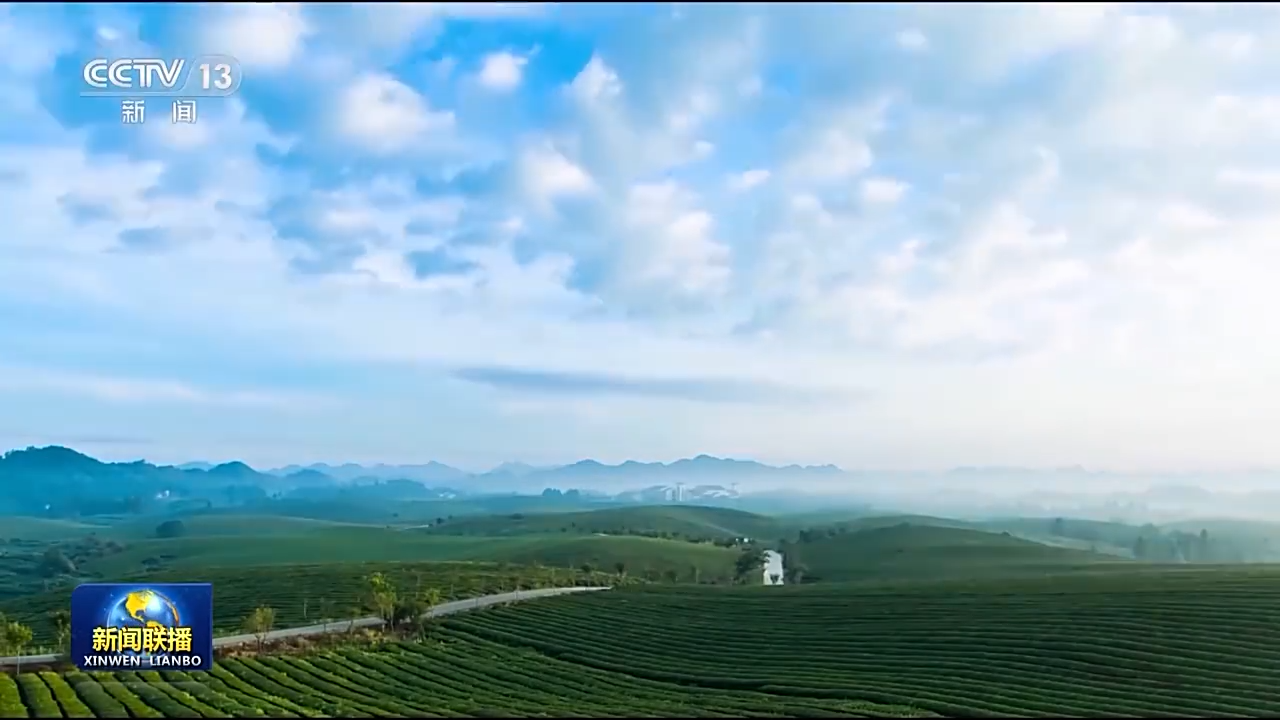 一草一木 念茲在茲 我們用綠色繪出美麗中國(guó)更新畫卷