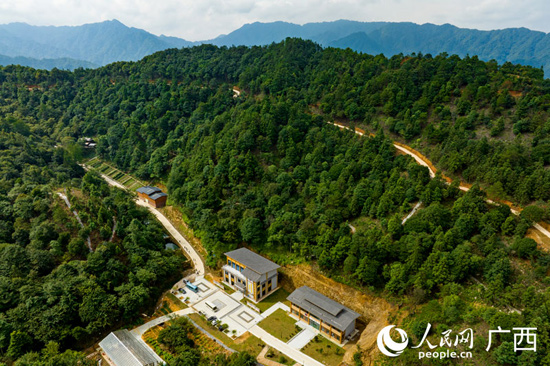 跟著總書記看中國｜像愛護自己的眼睛一樣愛護民族團結