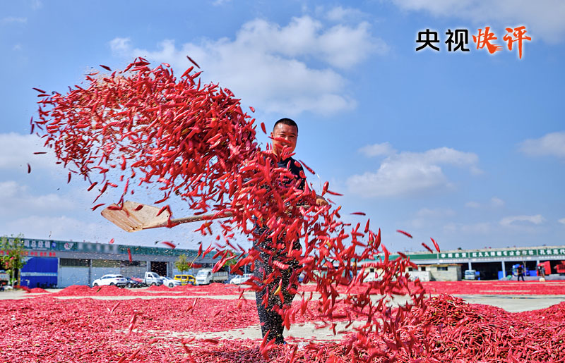 【央視快評(píng)】讓農(nóng)民腰包越來(lái)越鼓、生活越來(lái)越美好——慶祝第六個(gè)“中國(guó)農(nóng)民豐收節(jié)”