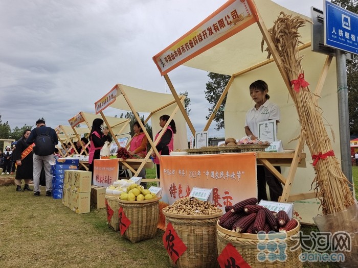 稻花香里說豐年丨劉蘭芳點(diǎn)贊種糧大戶！平頂山慶祝2023年中國農(nóng)民豐收節(jié)