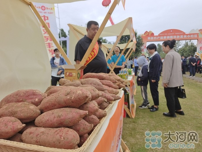 稻花香里說豐年丨劉蘭芳點(diǎn)贊種糧大戶！平頂山慶祝2023年中國農(nóng)民豐收節(jié)